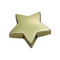 Picture of Creative Gifts International 043052 4.25 x 4.25 in. Star Paperweight - Brassplate