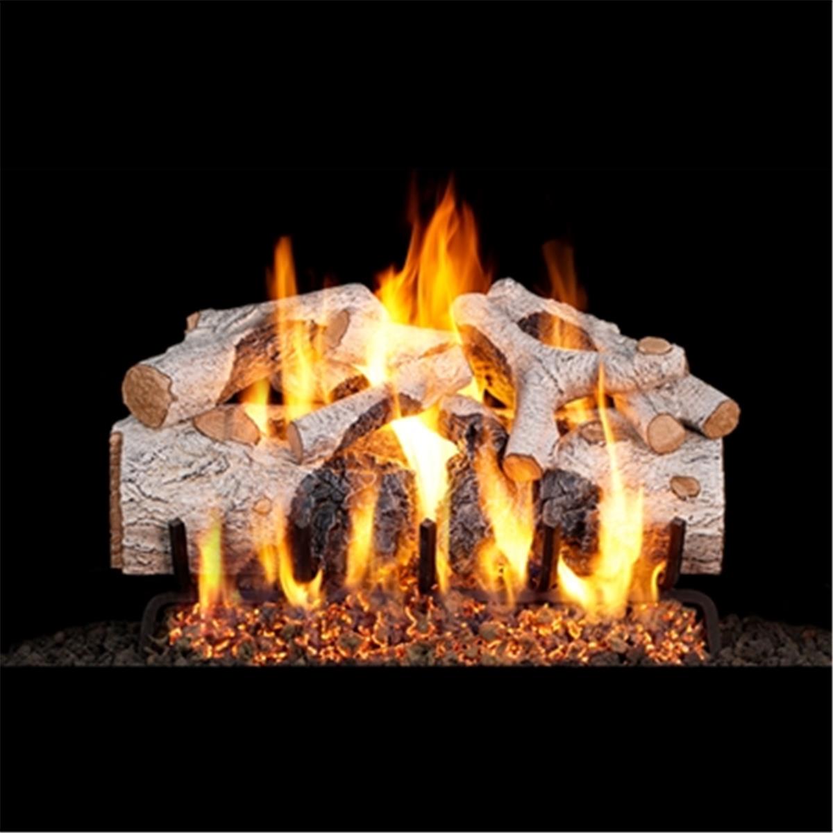 Picture of Real Fyre CHMBW-24 24 in. Charred Mountain Birch Vented Log Set