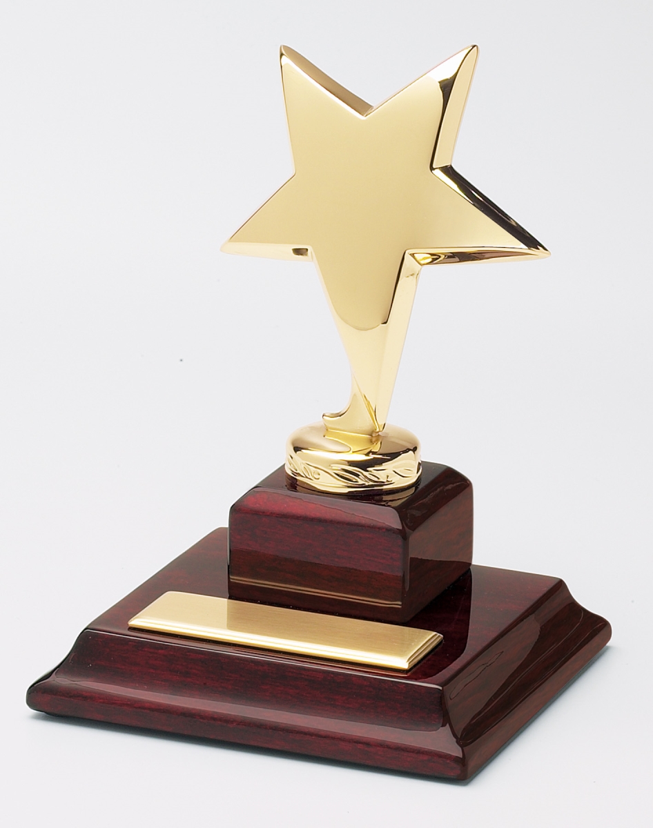 74005 Shining Star Award
