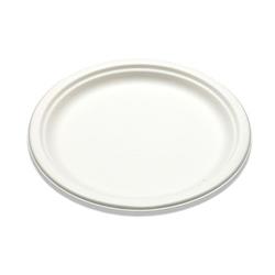 Picture of Bridge-Gate WHBRG-10 10 in. Sugarcane Bagasse Plate, White - Case of 500