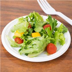 Picture of Dart Container 6PWCR 6 in. White Plate Foam Unlaminated Plastic Dinnerware - Case of 1000