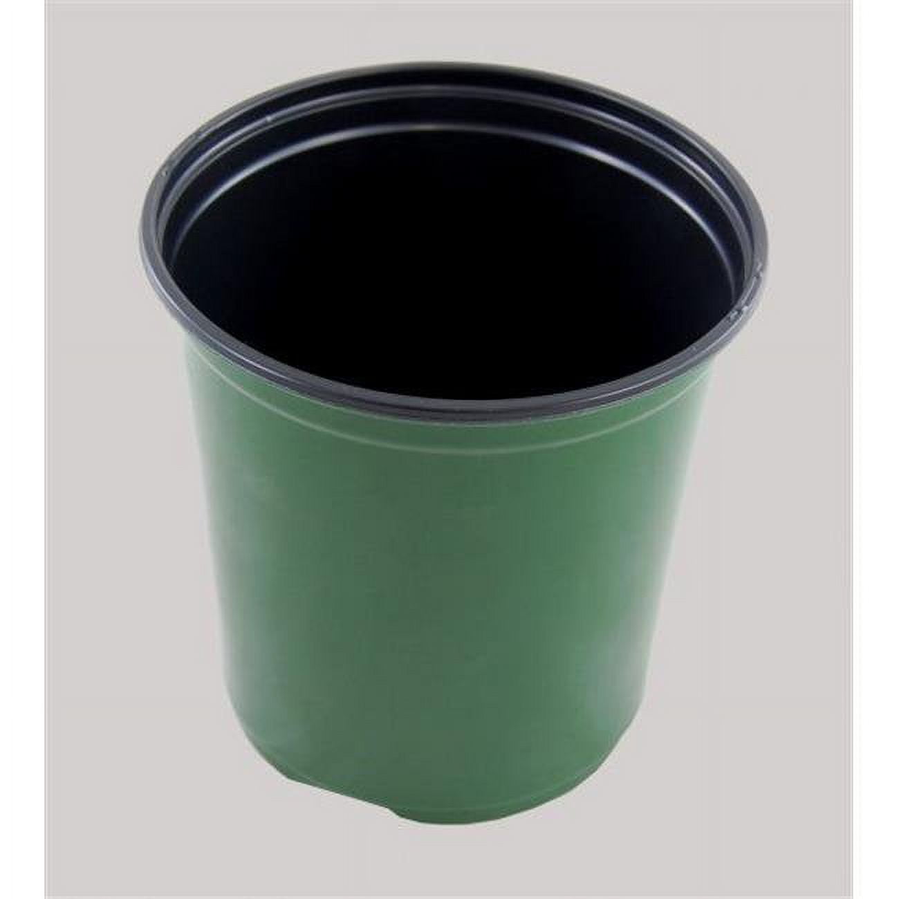 Picture of Choice Paper GD328 CPC Meen Green Pot, Case of 4