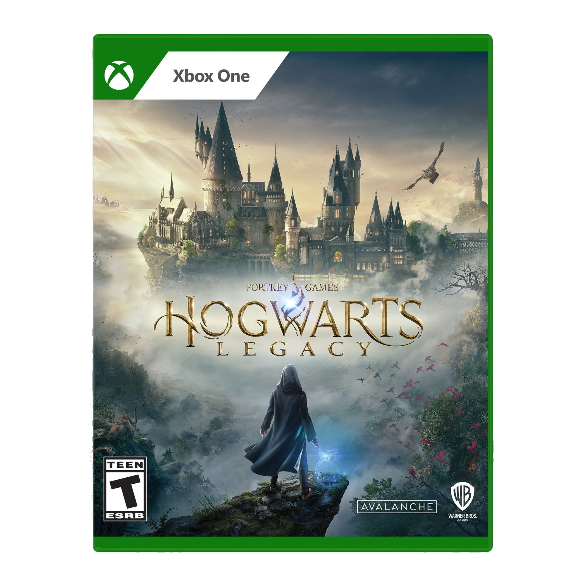 Picture of Warner Home Video Games 883929730698 Hogwarts Legacy Xbox One