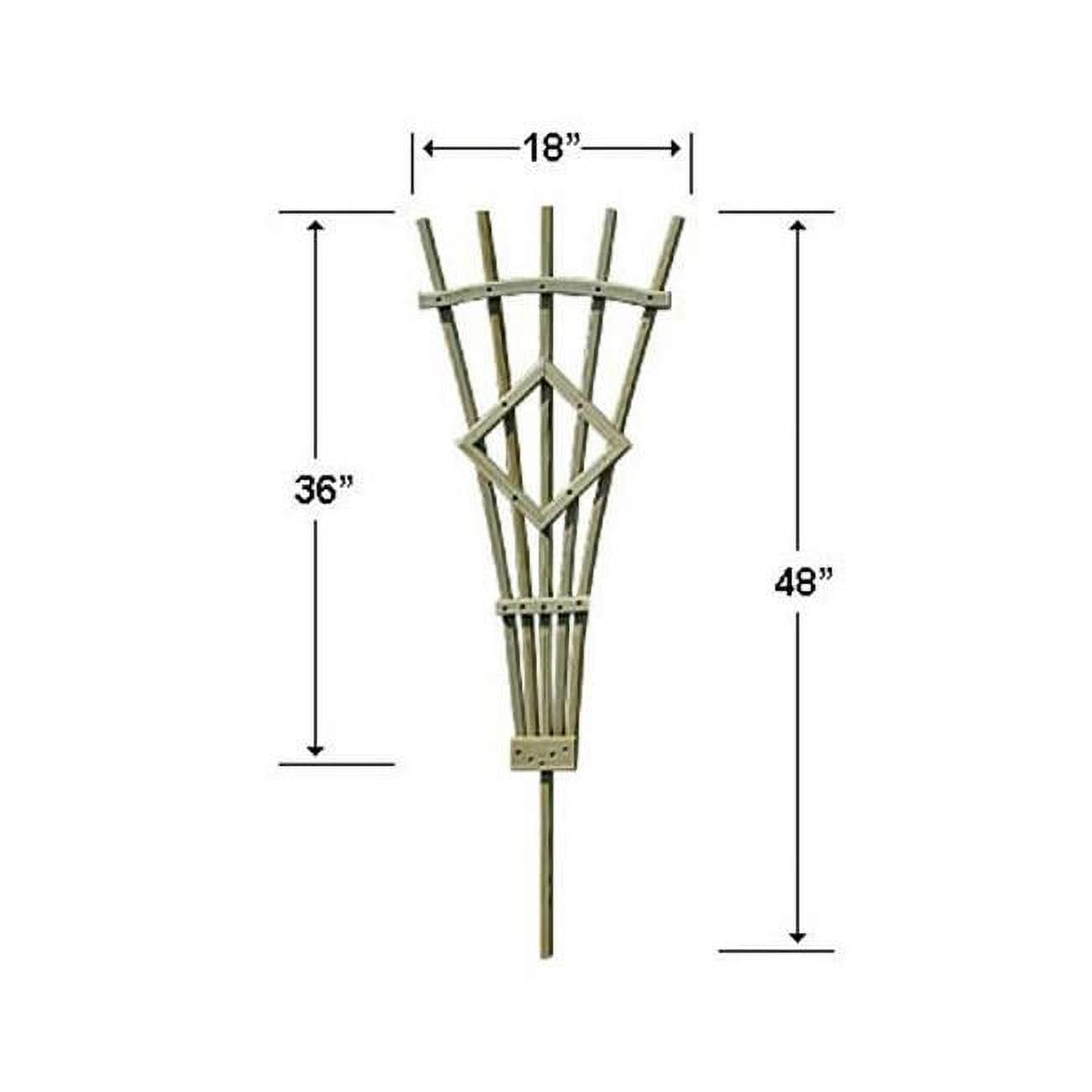 FT3CVD 3 ft. Treated Pine Rose Trellis