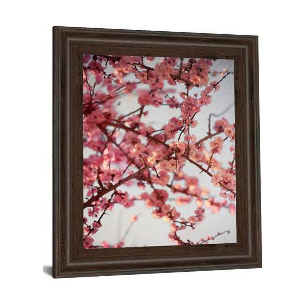 Picture of Classy Art 8055 22 x 26 in. Cherry Blossoms I by Susan Bryant Framed Print Wall Art