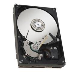 121E28130-OEM OEM 250GB Hard Disk Drive for WC5945 -  Xerox