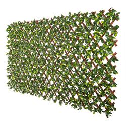 Picture of Naturae Decor TRP3672BR-4000-1PK 36 x 72 in. Gardenia Leaves PVC Expandable Trellis