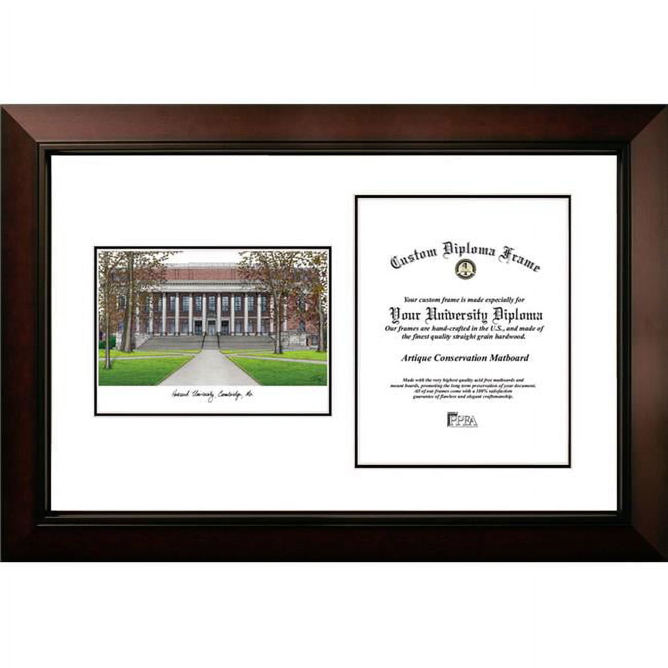 MA992LV-1114 14 x 11 in. Harvard University Legacy Scholar Diploma Satin Frame