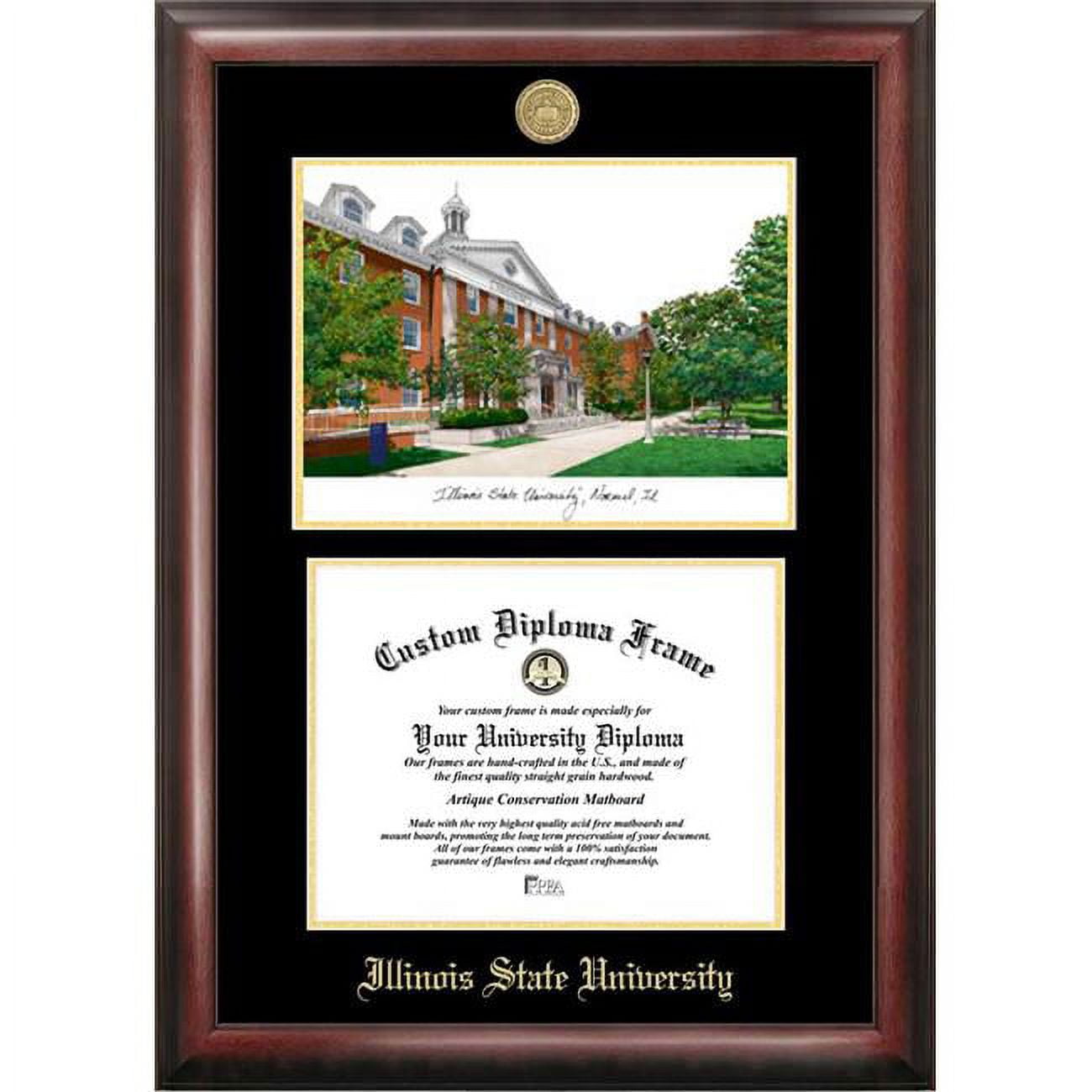 8 x 10 in. Illinois State Gold Embossed Diploma Satin Mahogany Frame with Lithograph
