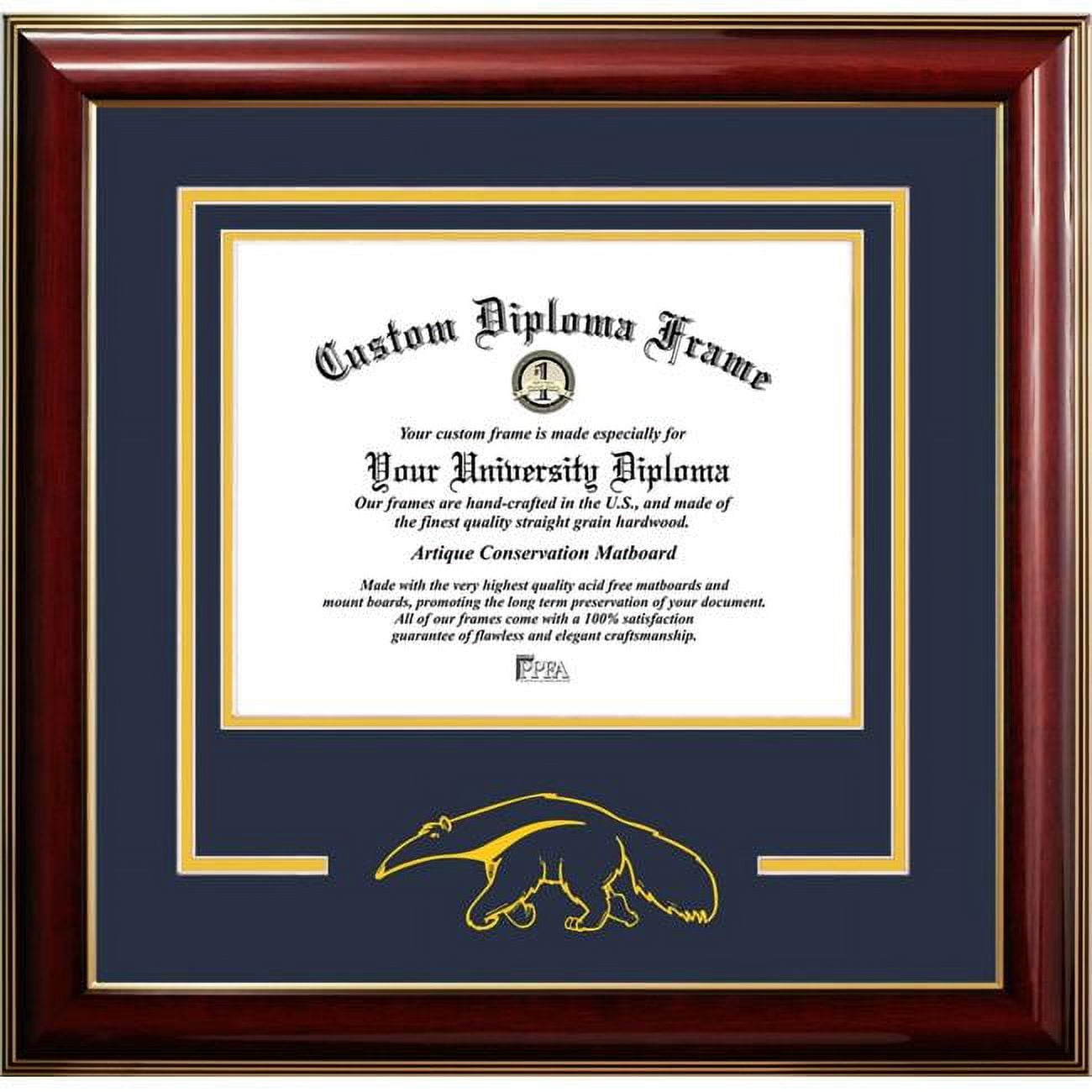 CA933CMGTSD-1185 8.5 x 11 in. University of California, Irvine Classic Spirit Logo Diploma Frame