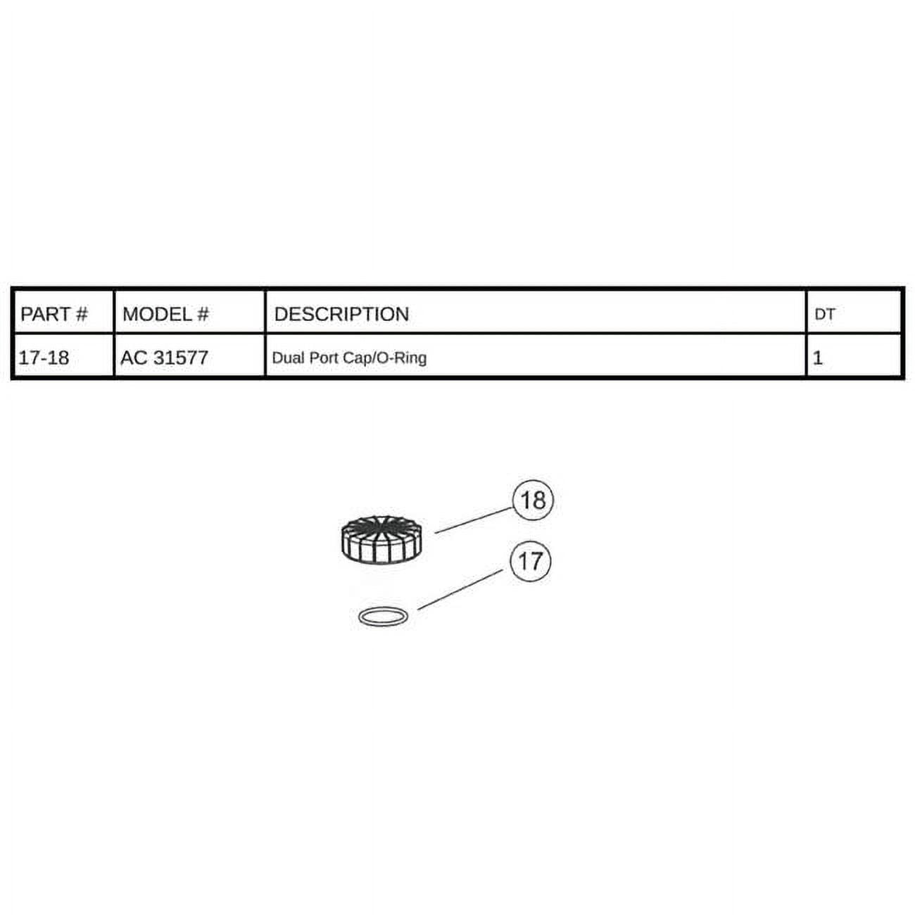 BLUE TORRENT POOL PRODUCTS AC31577