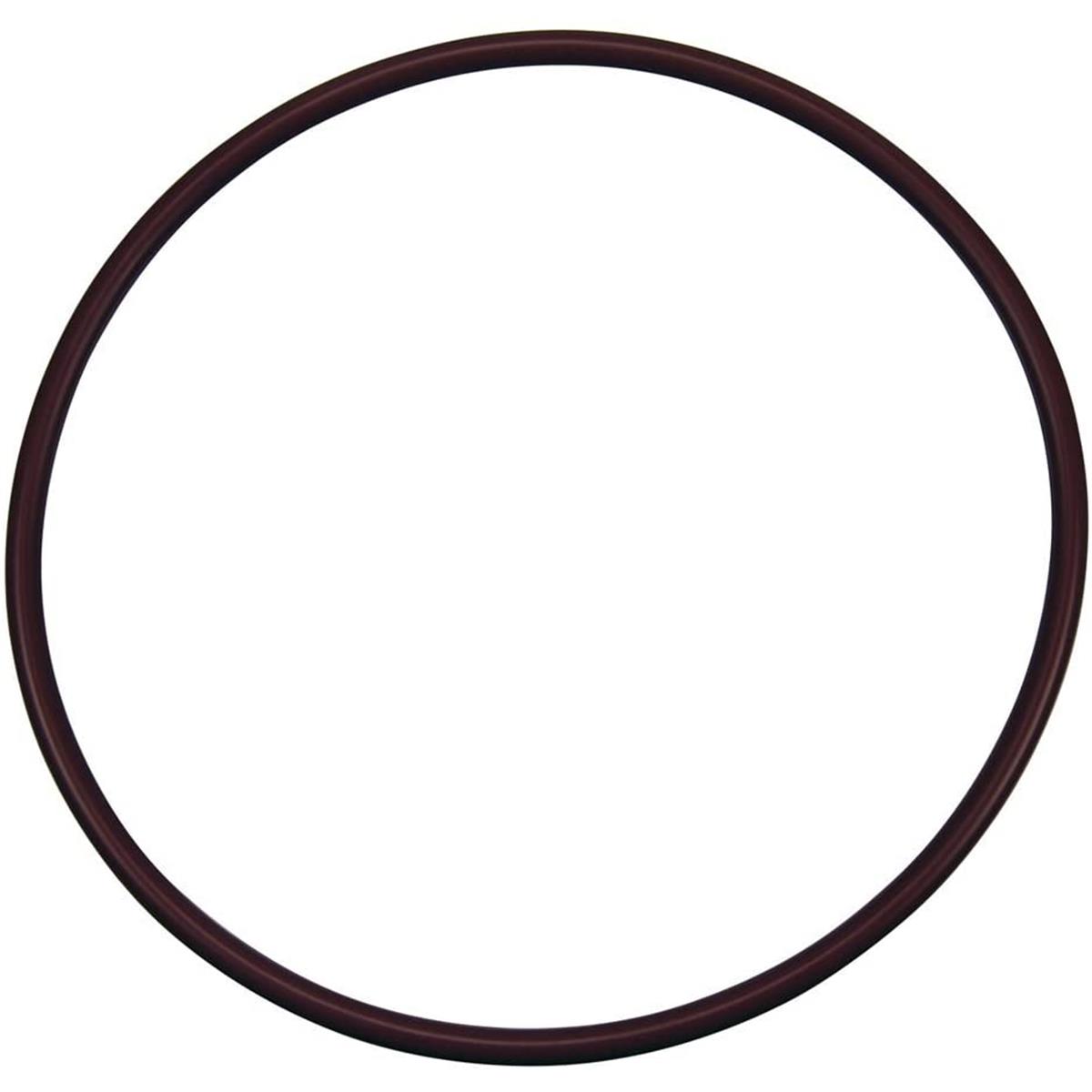 R172240Z Lid to Housing O-Ring, Black