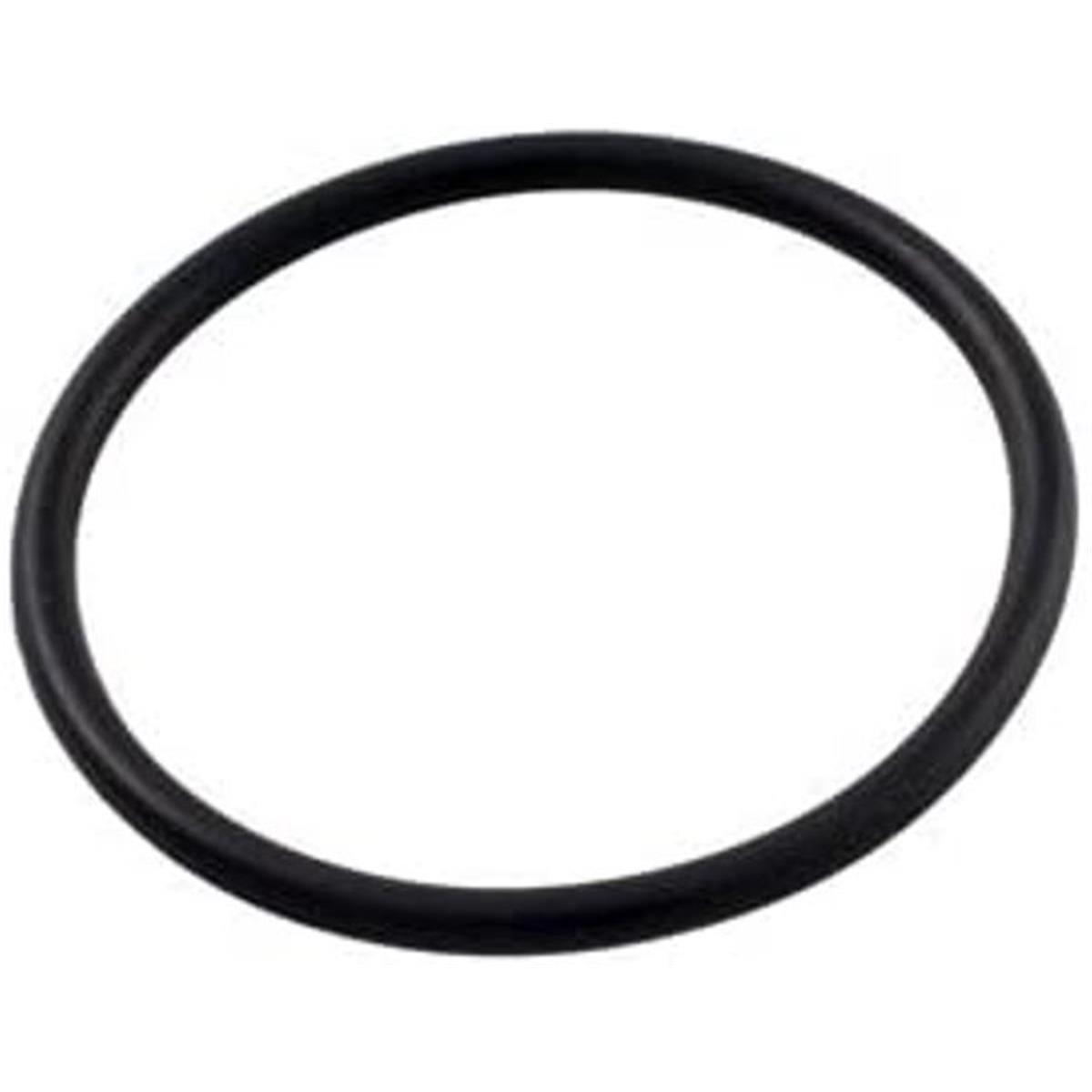 R172319Z Bottom O-Ring Replacement Pool & Spa In-Line Automatic Feeder