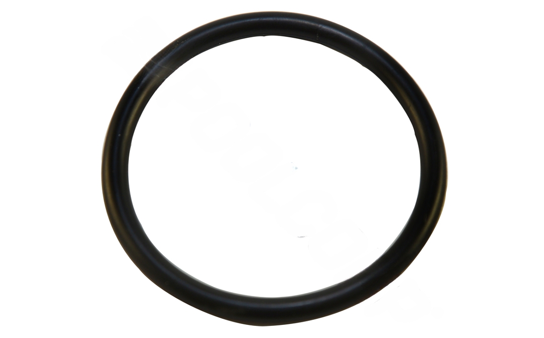 Pentair Water Pool & Spa 274494Z Valve Adapter O-Ring