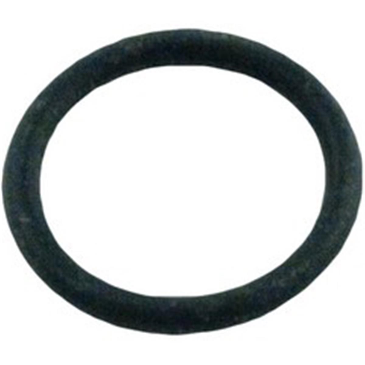 ORing Pump Dran Plug