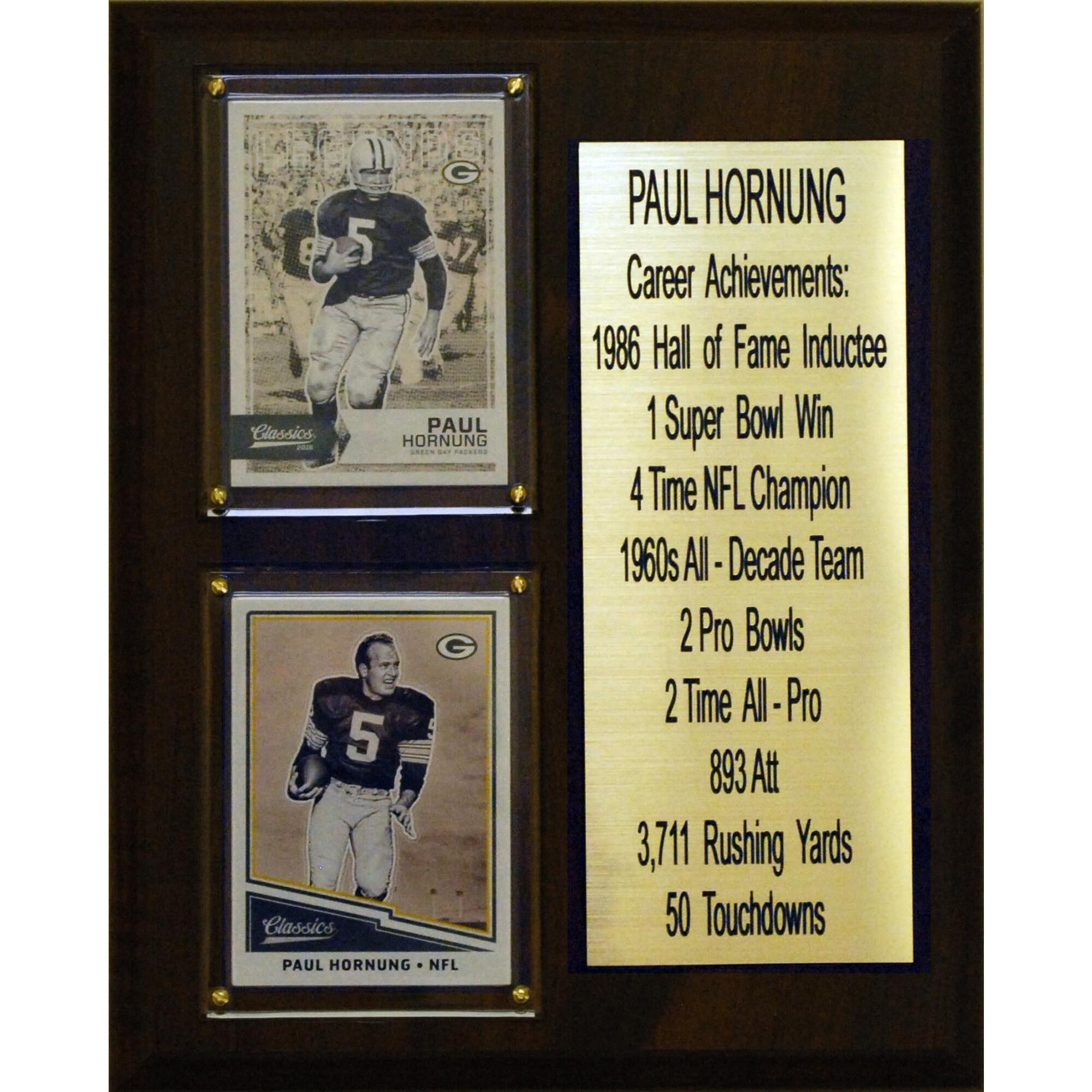 8"X10" Paul Hornung Green Bay Packers Career Stat Plaque