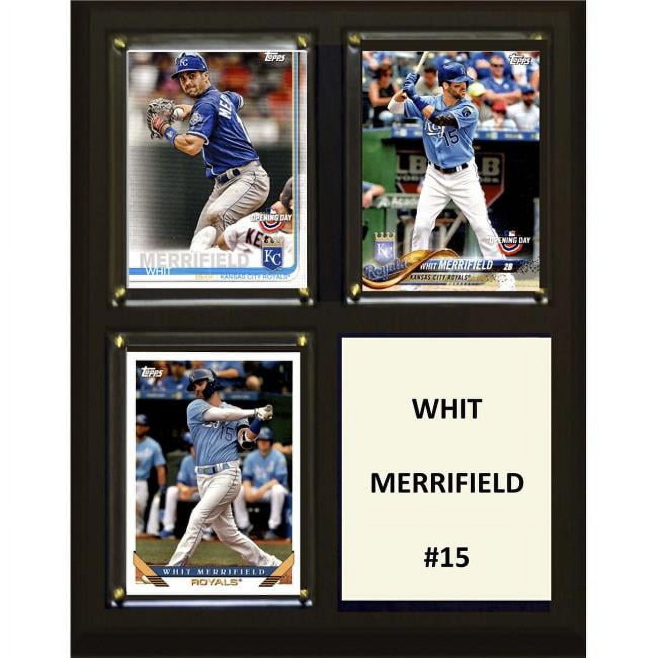 Picture of C&I Collectables 810MERRIFIELD 8 x 10 in. NHL Whit Merrifield Arizona Coyotes Three Card Plaque