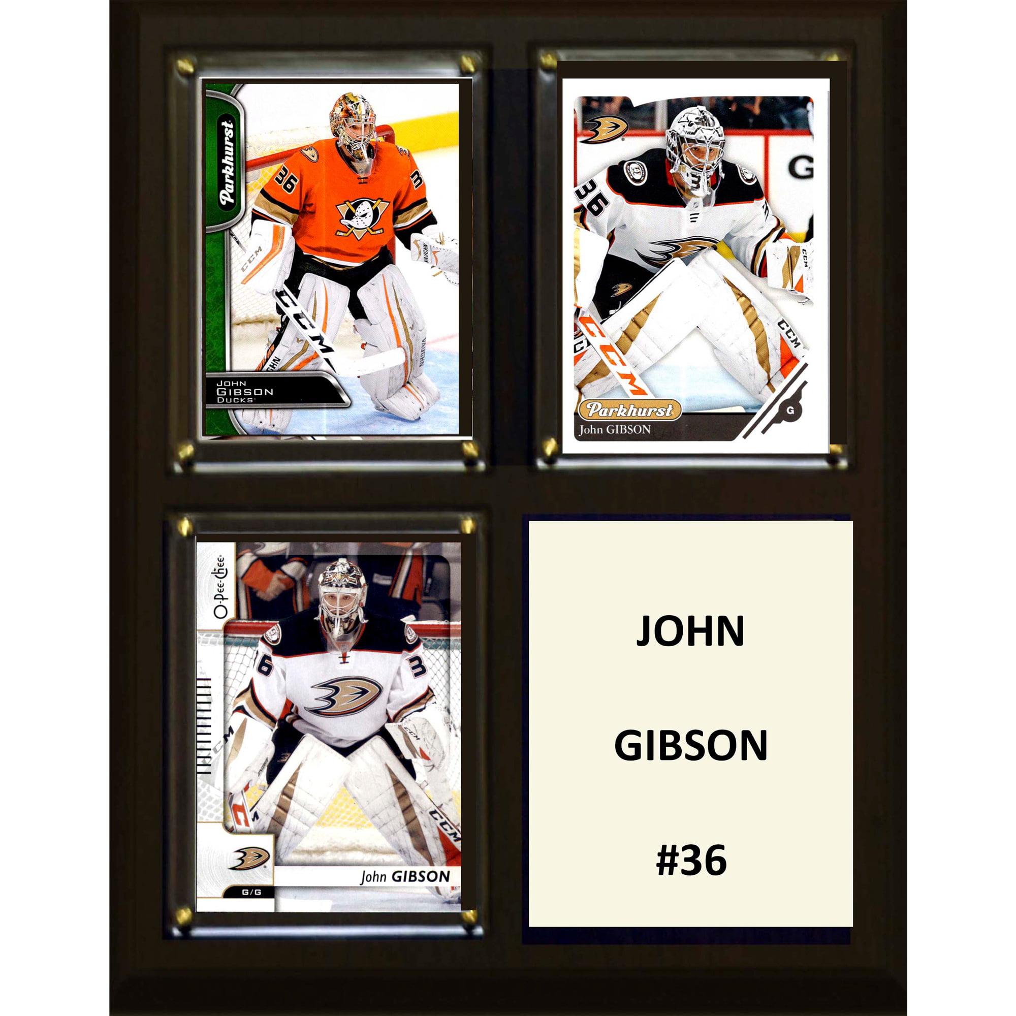 Picture of C&I Collectables 810JGIBSON 8 x 10 in. NHL John Gibson Arizona Coyotes Three Card Plaque