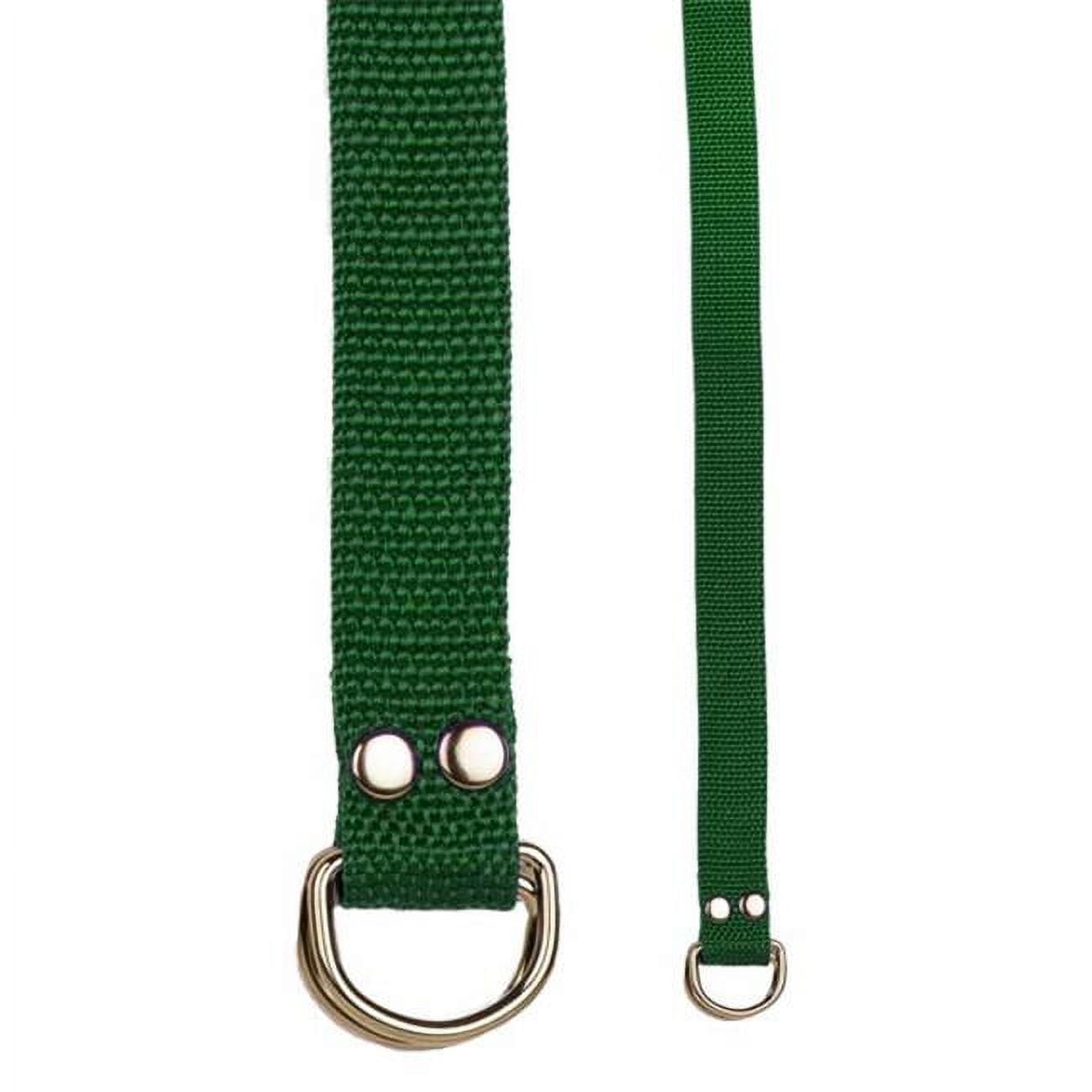 Picture of Champion Sports 20211 Football Belt, Green