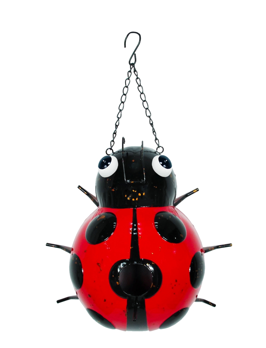 Picture of Continental Art Center 194063 Hanging Colorful Enameled Ladybug Bird House