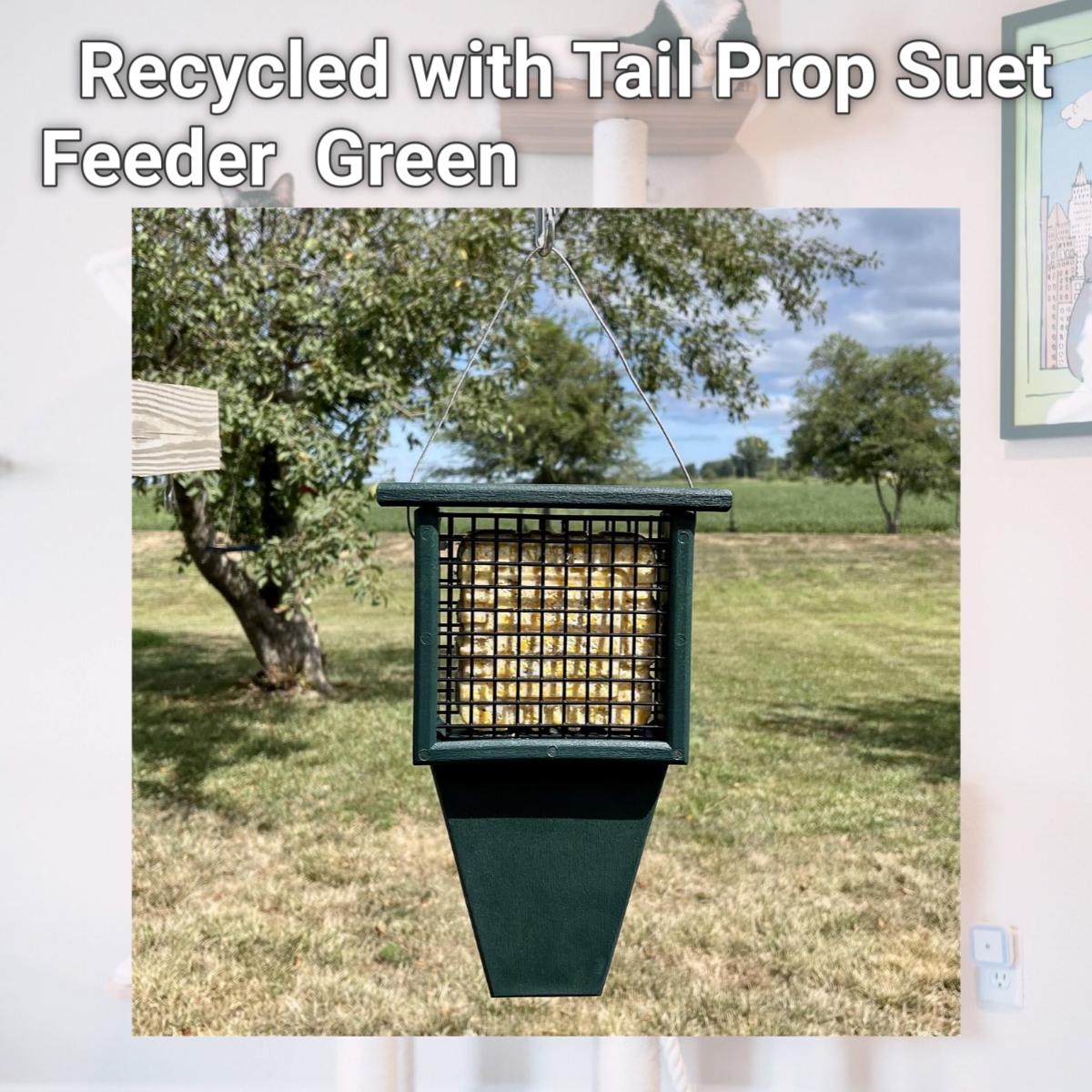 Picture of YF 1650642 Recycled with Tail Prop Suet Feeder  Green