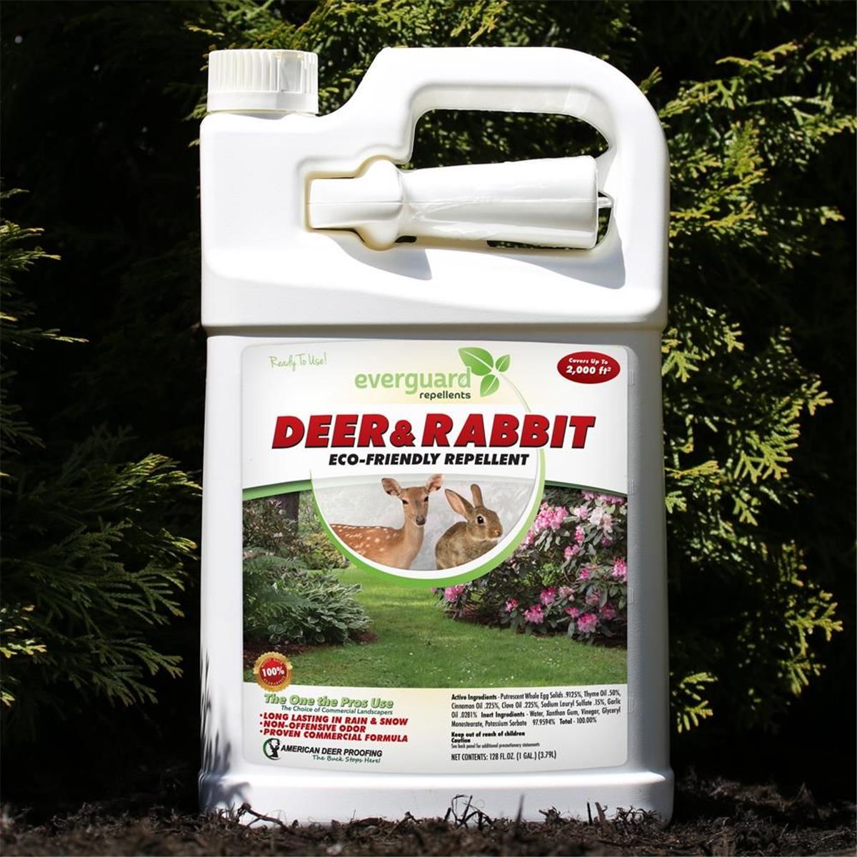 Picture of CFD 1500008 1 gal Everguard Repellents Deer & Rabbit RTU