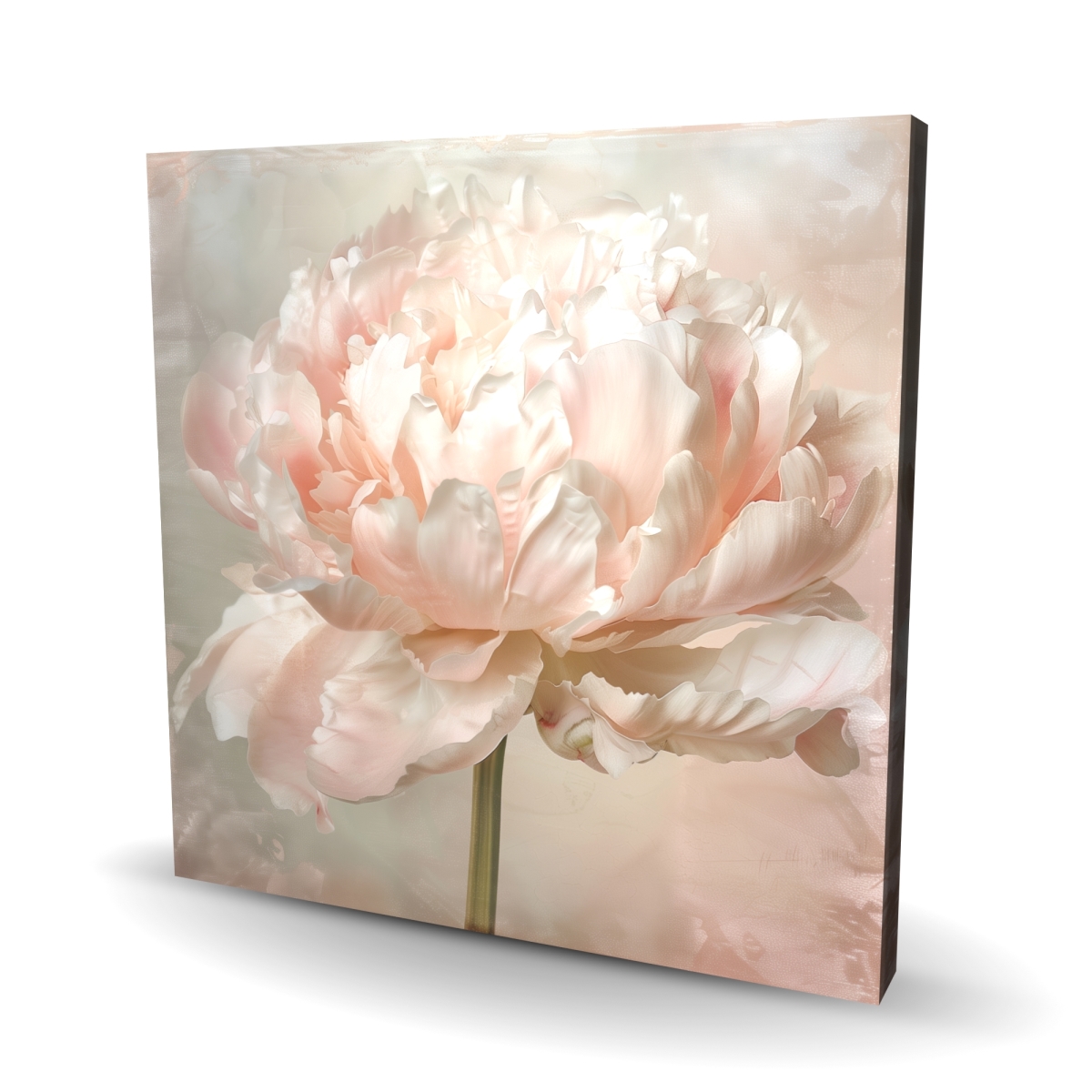 C1RC2424RHA169 24 x 24 in. Peony - White Canvas Wall Art for Elegant Home Decor