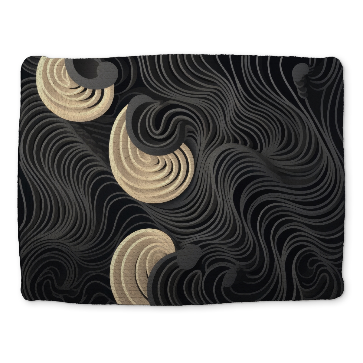Picture of MWW CBPM1418Y28D2V 14 x 18 in. Layers Black Braided Polyester Placemat for Home Decor