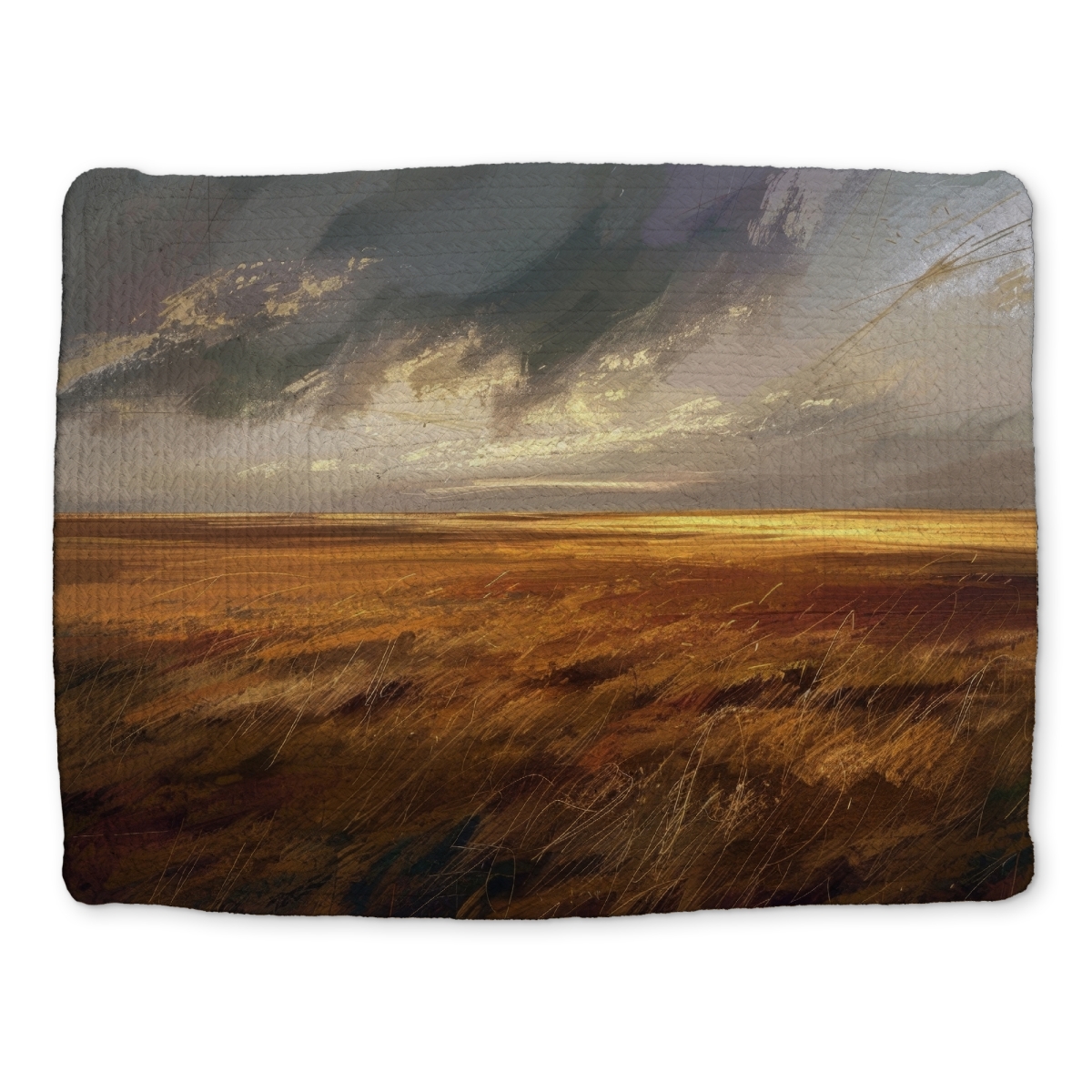 Picture of MWW CBPM1418B96OXI 14 x 18 in. Before the Storm - Gold Braided Polyester Placemat for Home Decor