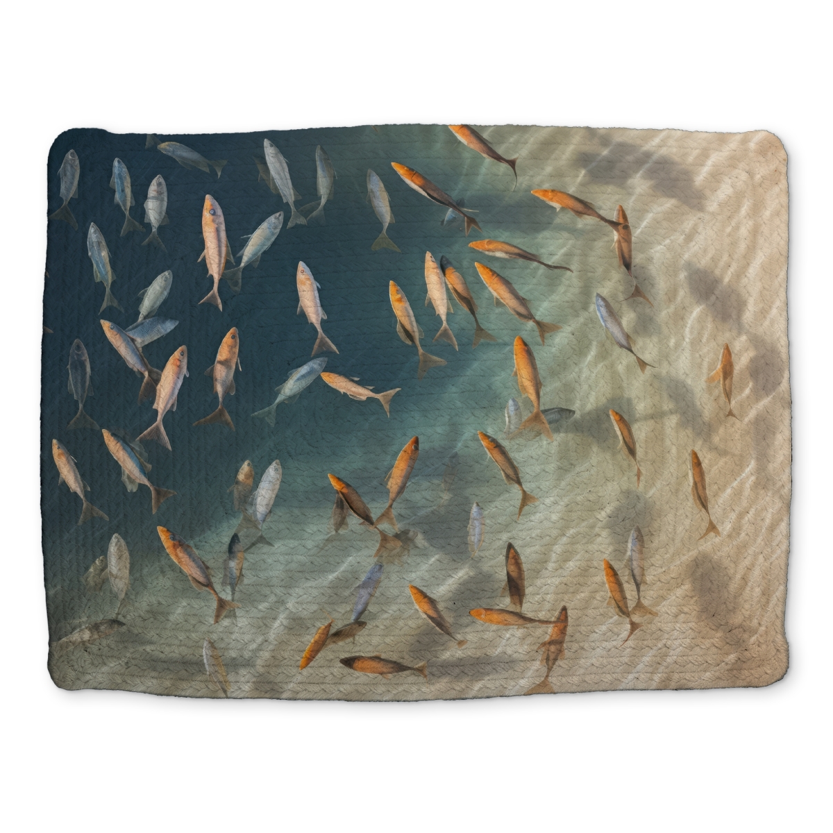 Picture of MWW CBPM1418TOPLDM 14 x 18 in. Away From the Sand - Turquoise Braided Polyester Placemat