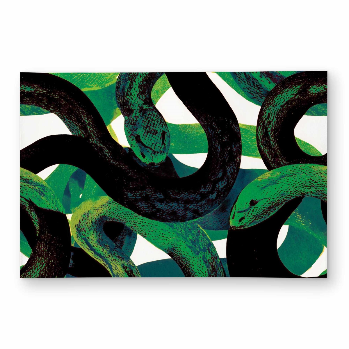 C1ROAR239X2B7P 2 x 3 ft. Emerald Coil Dance Outdoor Rectangle Area Rug - Stylish Home Decor