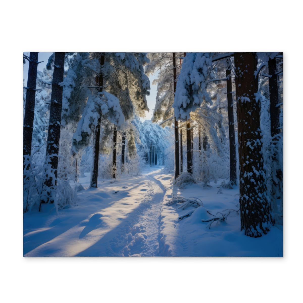 Picture of MWW CPPM1418YH29DN 14 x 18 in. Snowy Path Black Polyester Placemat for Home Decor - Stylish Table Setting