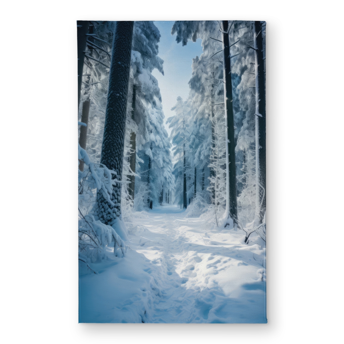 CODM2134G1D3RD 21 x 34 in. Cold Forest Blue Indoor & Outdoor Door Mat - Home Decor