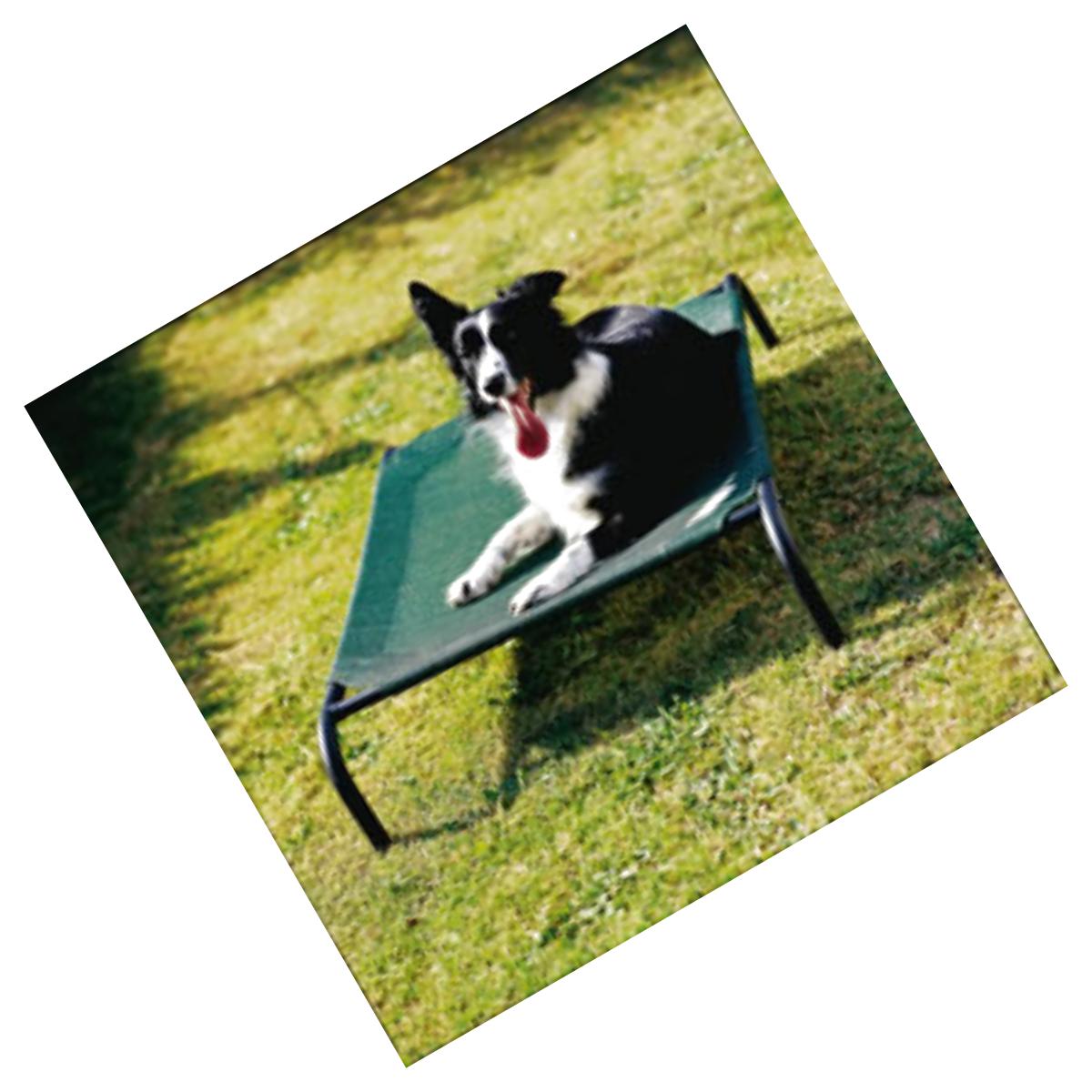 Picture of Coolaroo 799870317270 3ft x 2ft Medium Steel Framed Pet Bed - Brunswick Green Cover