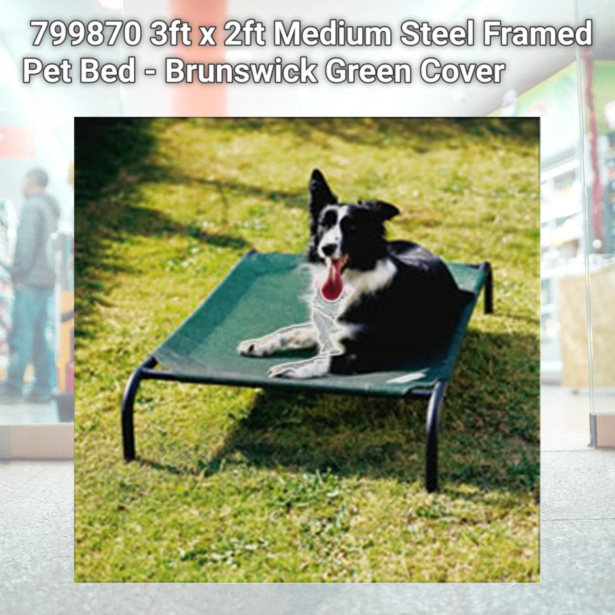 Picture of Coolaroo 799870317270 3ft x 2ft Medium Steel Framed Pet Bed - Brunswick Green Cover