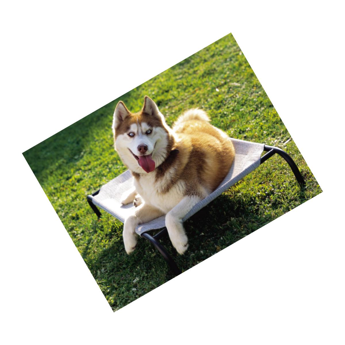 Picture of Coolaroo 799870436049 Steel Pet Bed Medium-Grey