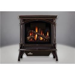 Picture of Napoleon 2478504 GDS60-1NNSB Cast-Iron Natural Gas Stove with Door - Majolica Brown