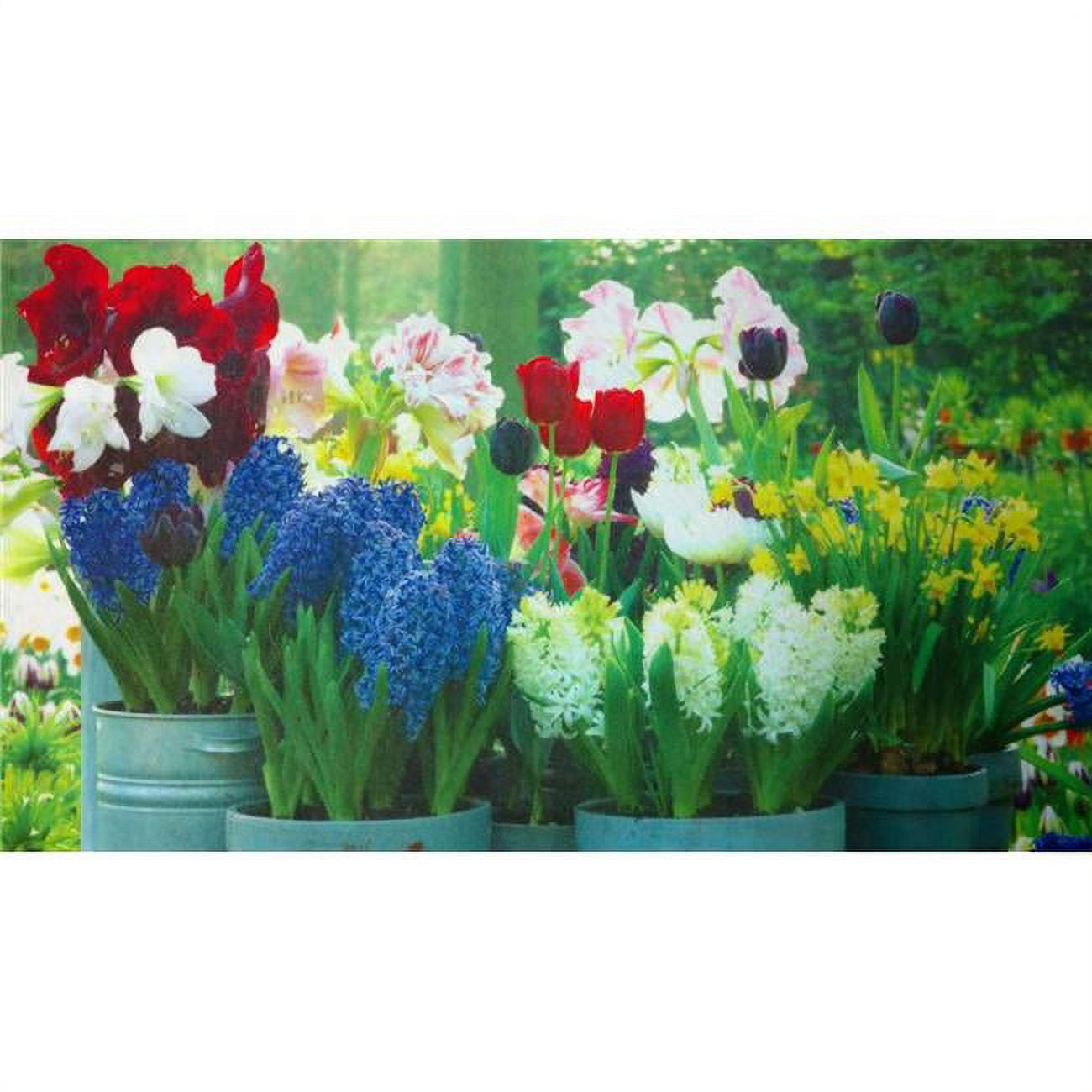 DM 67 Springtime Non Slip Indoor Door Mat, 27 x 18 in.