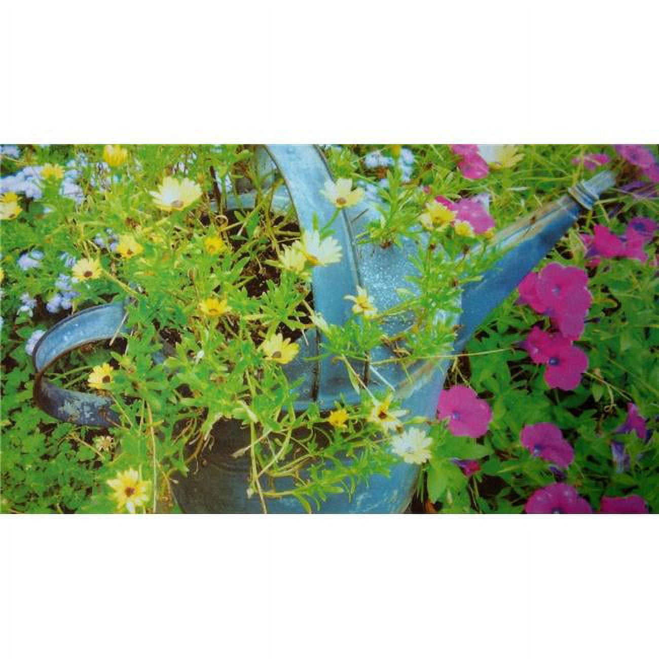 DM 72 Spring Sprinkles Non Slip Indoor Door Mat, 27 x 18 in.