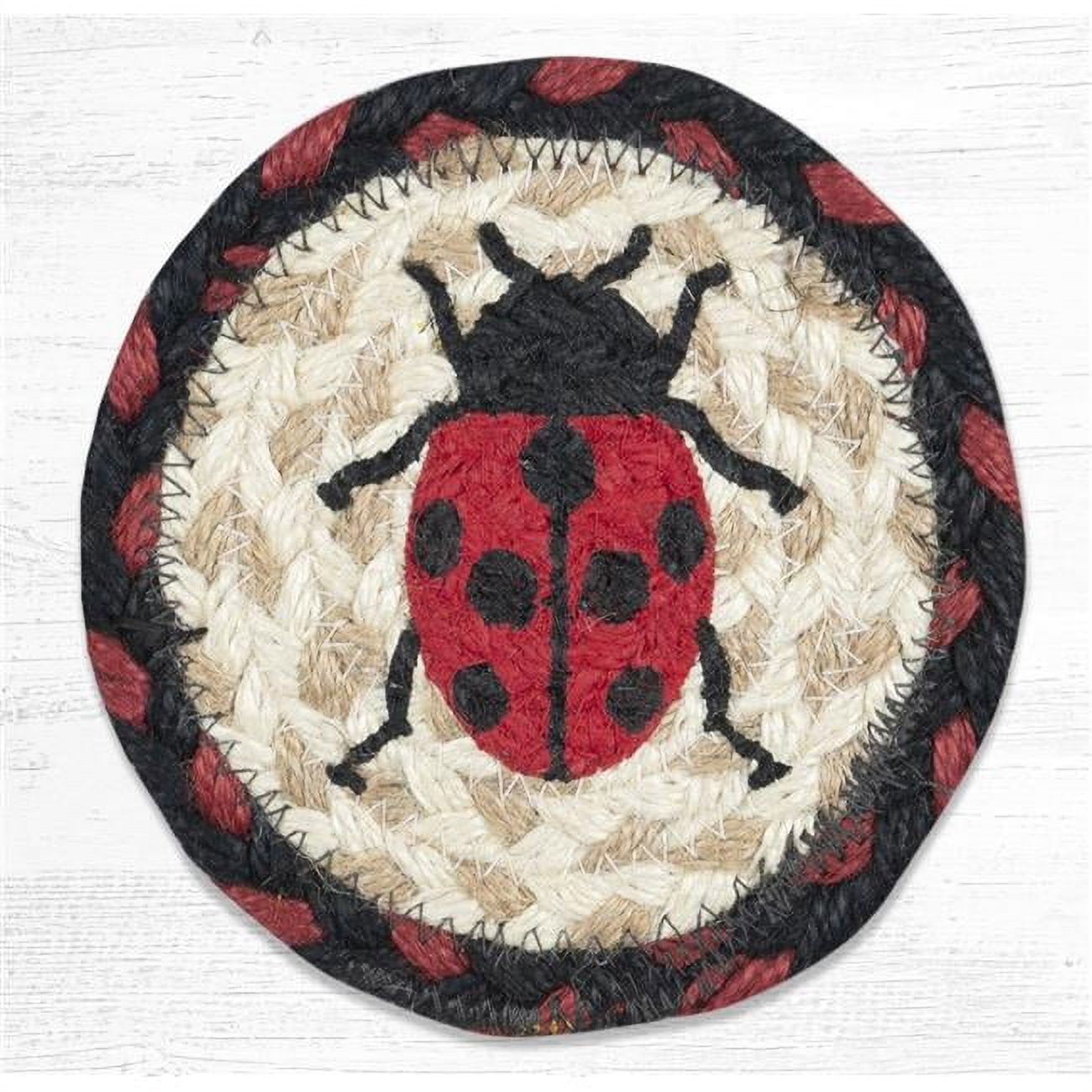 5 x 5 in. Ladybug Printed Coaster Round Rug, Multi Color