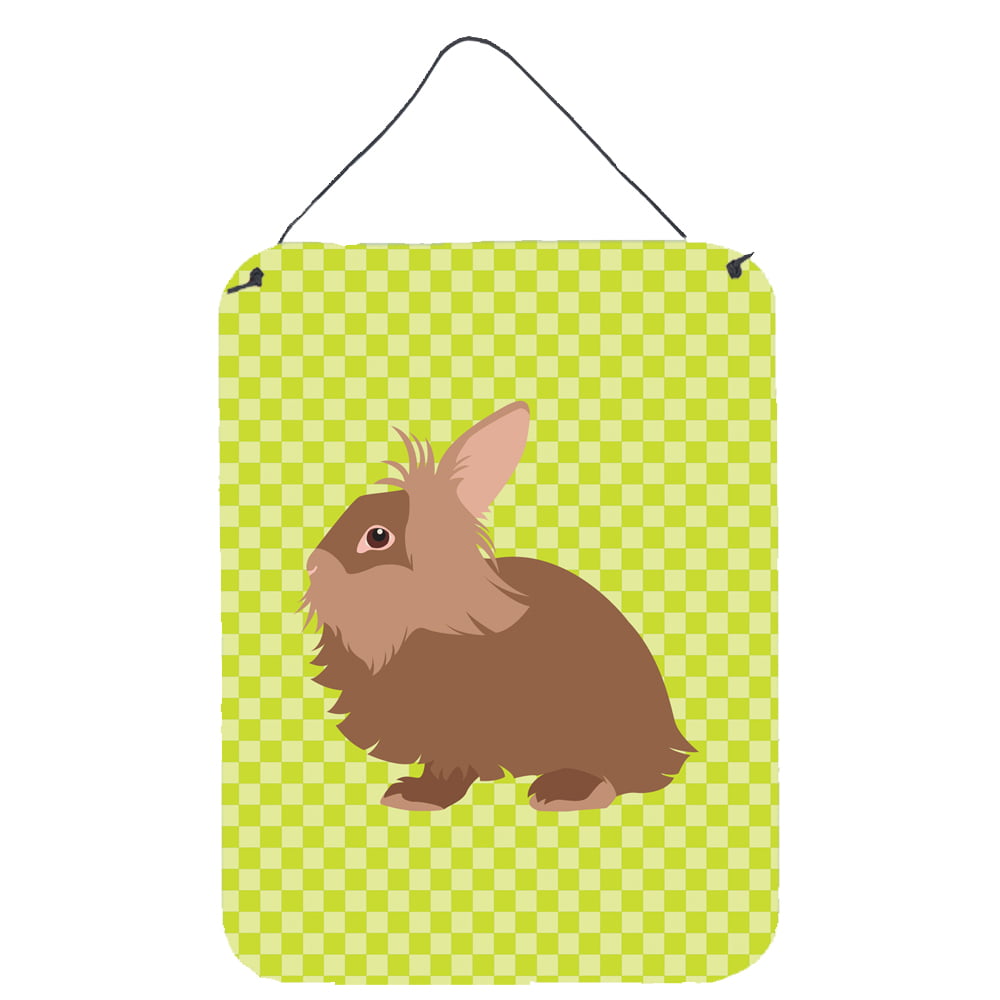 Picture of Carolines Treasures BB7786DS1216 Lionhead Rabbit Green Wall or Door Hanging Prints