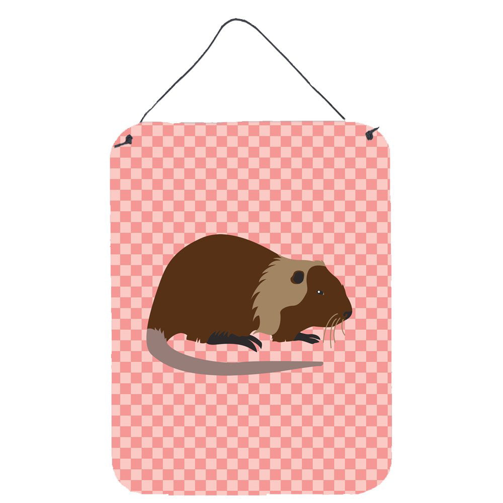 BB7879DS1216 Coypu Nutria River Rat Pink Check Wall or Door Hanging Prints