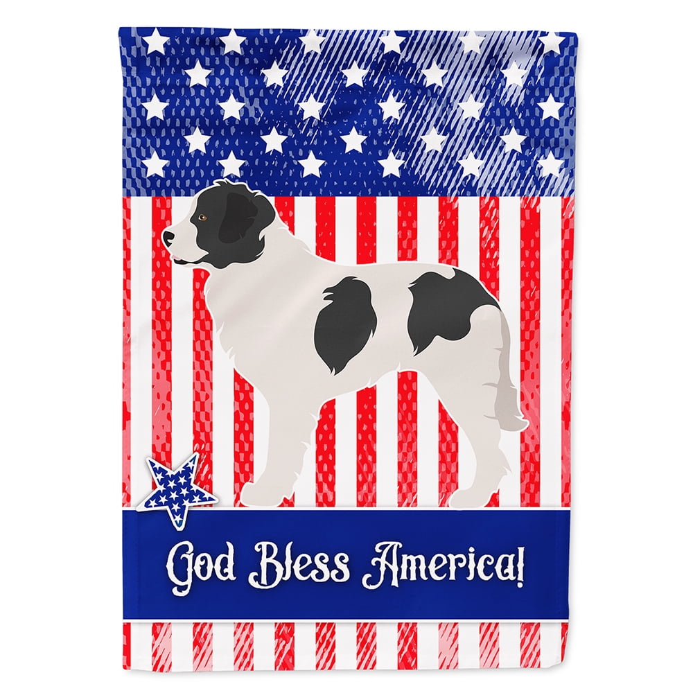 BB8412CHF Landseer American Canvas House Flag