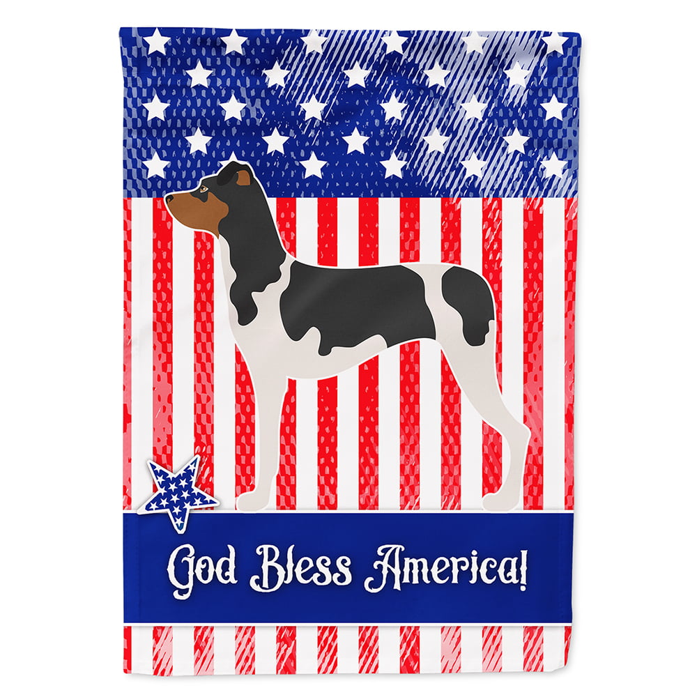 Brazilian Terrier American Flag Canvas House Size