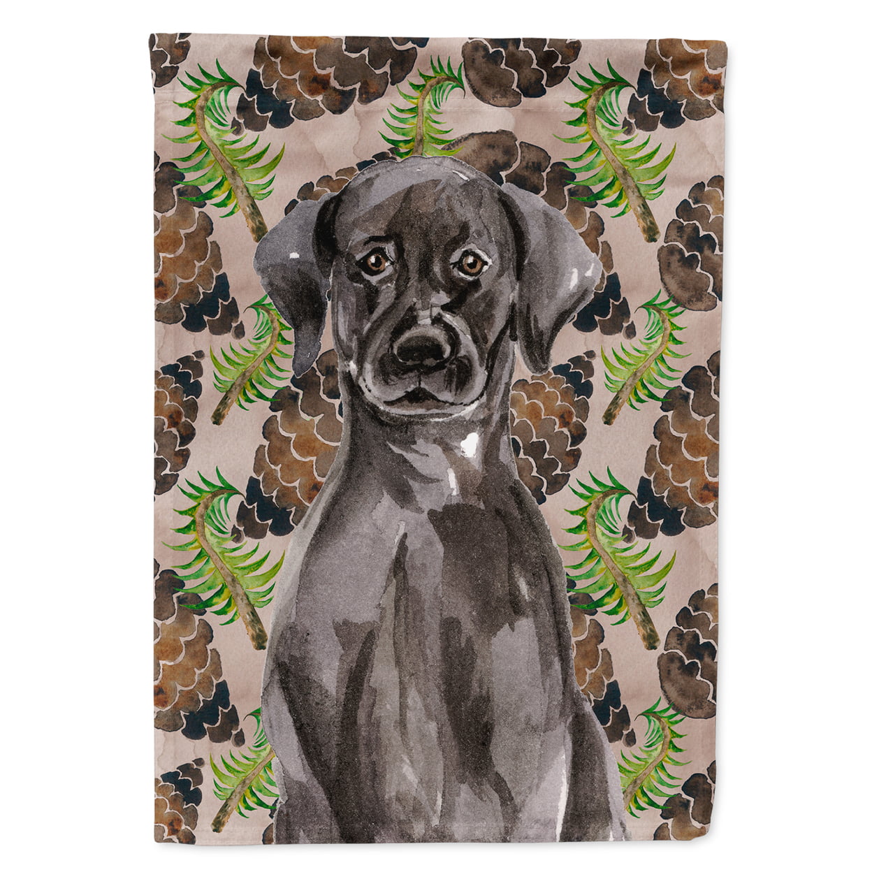 BB9573CHF Black Labrador Pine Cones Flag Canvas - House Size