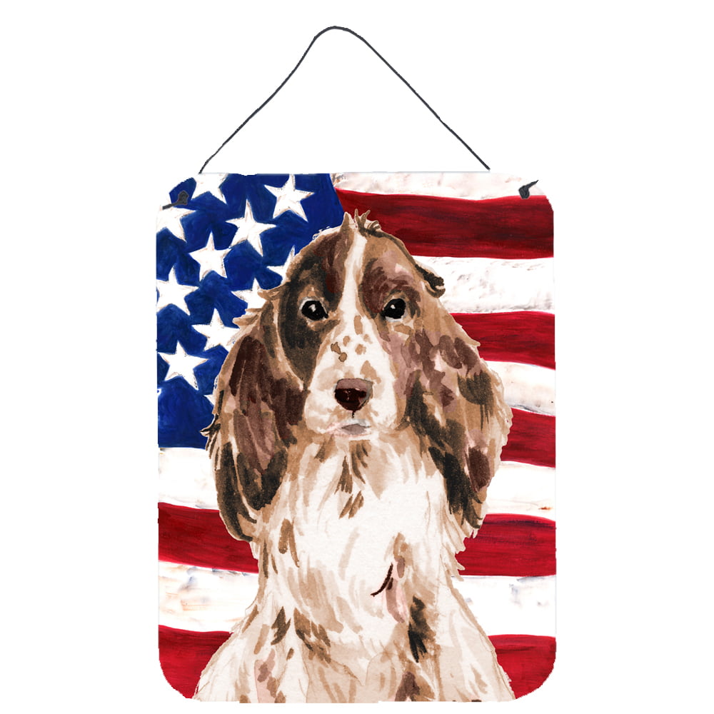 Picture of Carolines Treasures BB9377DS1216 Brown Parti Patriotic Wall or Door Hanging Prints