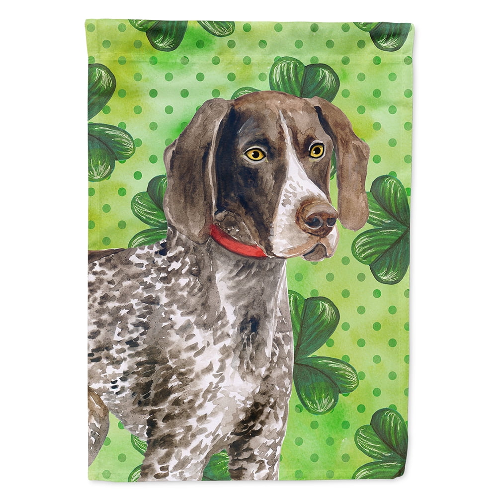 BB9815CHF German Shorthaired Pointer Saint Patricks Flag Canvas - House Size