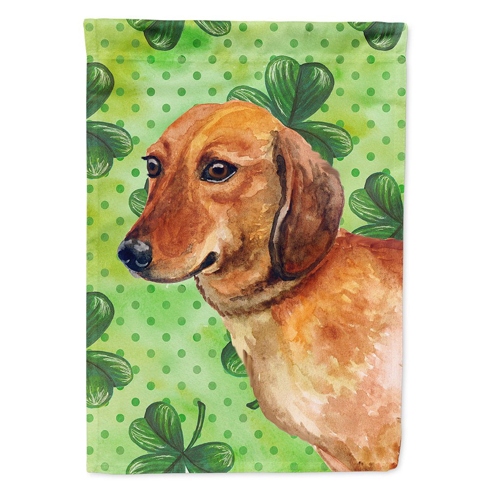 BB9826CHF Dachshund Saint Patricks Flag Canvas - House Size