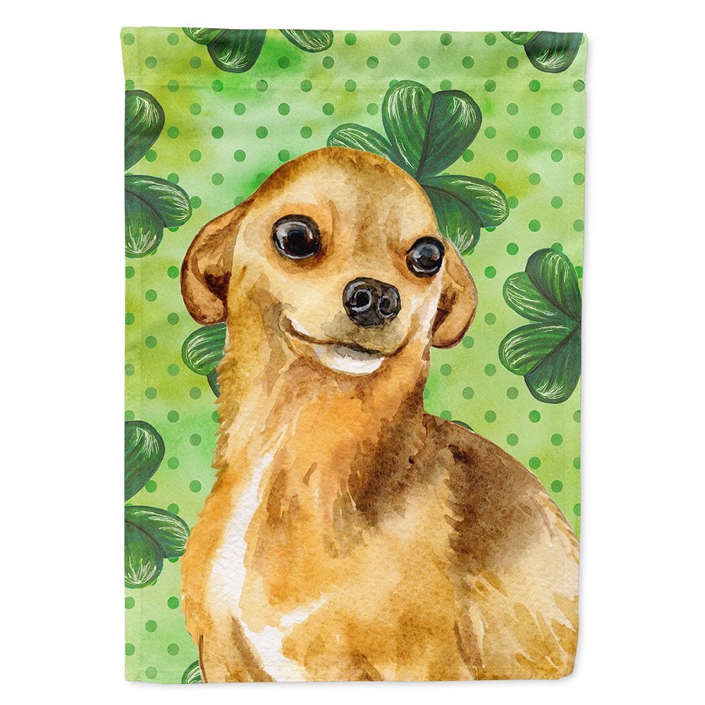 Chihuahua Saint Patricks Flag Canvas - House Size