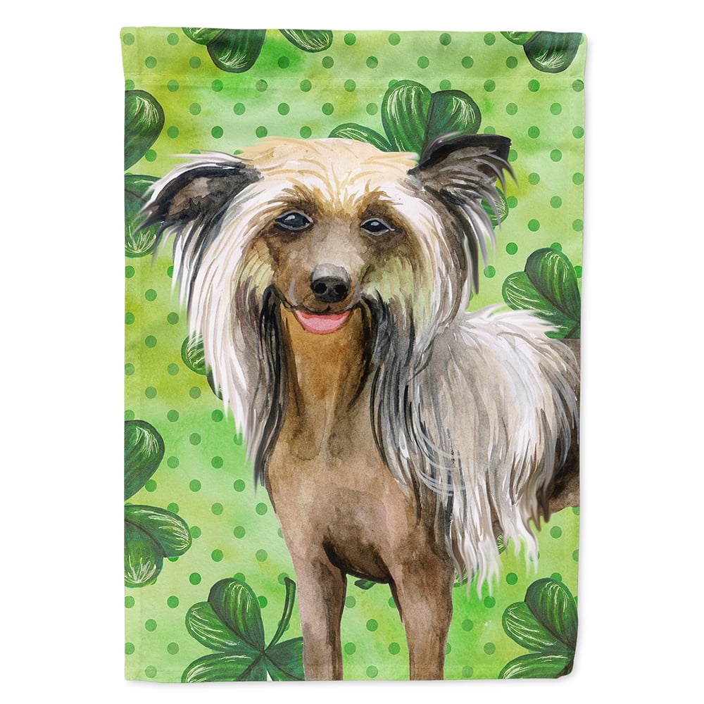 Chinese Crested Saint Patricks Flag Canvas - House Size